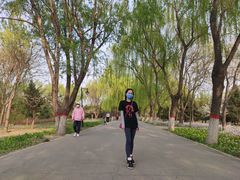 -东疆建设开发纪念公园