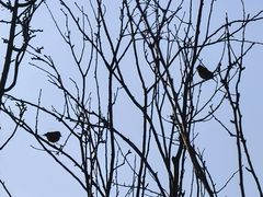 -元大都城垣遗址公园