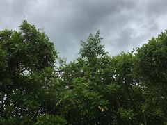 -汕头莲花山度假村温泉