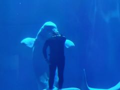 -多彩贵州城极地海洋世界