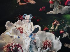 -坂田天虹