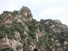 -大岭沟猕猴桃谷风景区