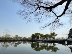 -无锡蠡湖国家湿地公园-蠡园