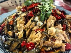 -绿草墩