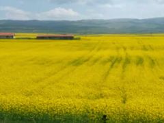 -青海茶卡盐湖文化旅游发展股份有限公司