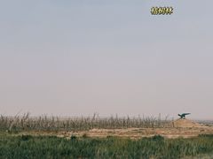 -二连浩特国家地质公园