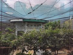 -九龙公园