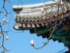 -颐和园