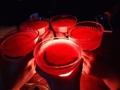 -罗斯福色戒酒吧(外滩店)