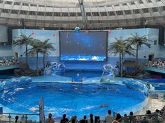 -海合安成都极地海洋公园