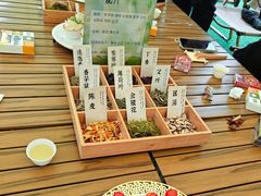 -蜜野MatYe城市营地·团建年会·亲子派对