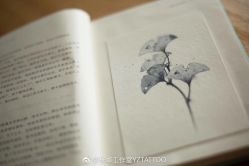 -杨卓刺青工作室·YZ STUDIO