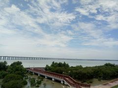 -宝安西湾红树林湿地公园