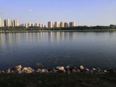 -丁香湖公园