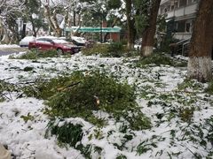 -中国人民解放军联勤保障部队第九〇三医院(九里松院区)