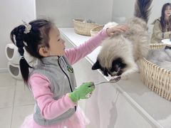 -怪兽屋·羊驼·猫咖·狗咖(俊华广场店)