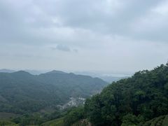 -十里琅珰