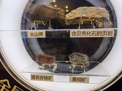 -上海儿童博物馆