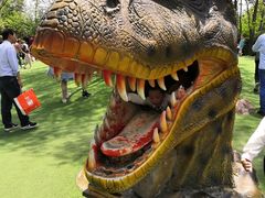 -南通洲际绿博园