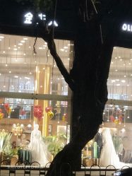 点击看大图 -金夫人婚纱摄影(华南店)
