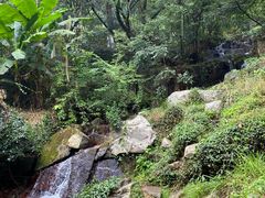 -莫干山风景区