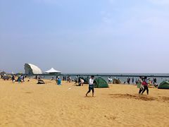 -碧海金沙