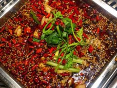 美蛙-味之绝美蛙鱼火锅(建设路店)