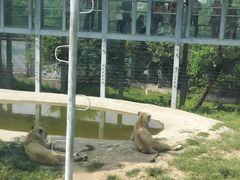 -西安秦岭野生动物园