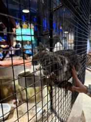 -酷嗒动物文化乐园(cutezoo西溪乐天城店)