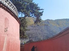 -五台山风景名胜区-罗睺寺