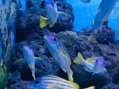 -常州海昌海洋探索馆
