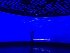 -同济大学四平路校区深海探索馆