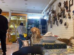 -平行世界·猫咖(首经贸店)