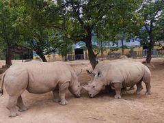 -西安秦岭野生动物园