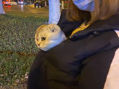 -安安宠医·安宠宠物医院