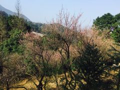 -南漈山