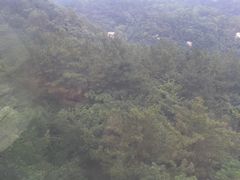 景点-崂山巨峰游览区