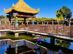 -呀路古热带植物园