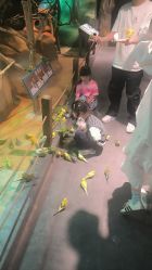 -酷嗒动物文化乐园(cutezoo西溪乐天城店)