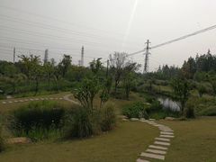 -上海长兴岛郊野公园