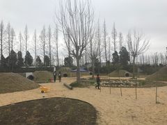 -前小桔亲子创意农场·草莓采摘·露营烧烤