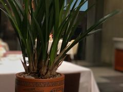-芙蓉堂(武汉天地店)