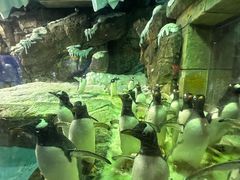 -波塞冬旅游度假区