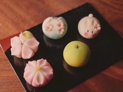 -帝京日语(春熙路旗舰校区)