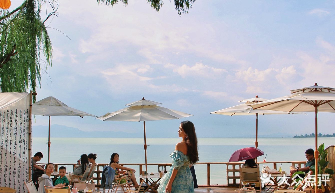 穿过上帝为你打开的窗和门，来看树与海