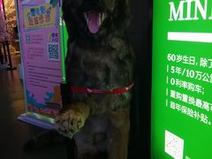 -卢米埃影城(住总万科杜比全景声激光店)