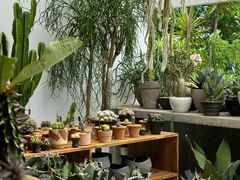 -自由生长植物工作室(深港花卉中心店)