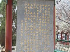 -桃花堤公园