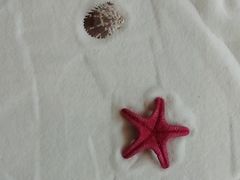 -纽斯洗浴SPA(三墩店)