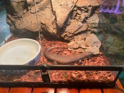 -酷嗒动物文化乐园(cutezoo西溪乐天城店)